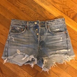 Agolde Parker vintage cut off shorts